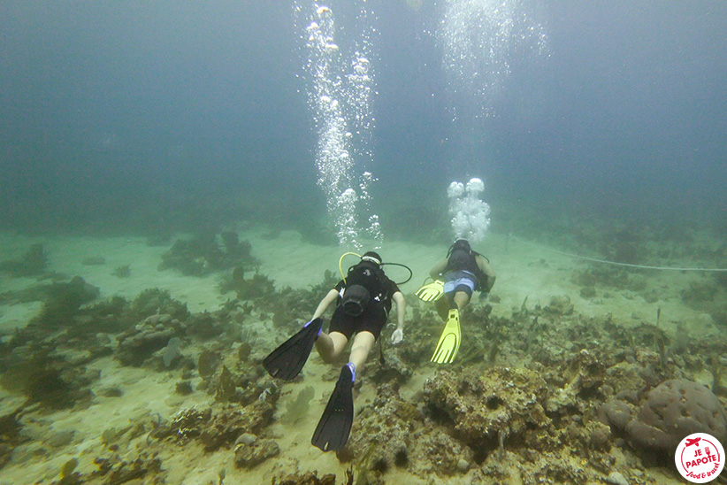 plongée exploration martinique