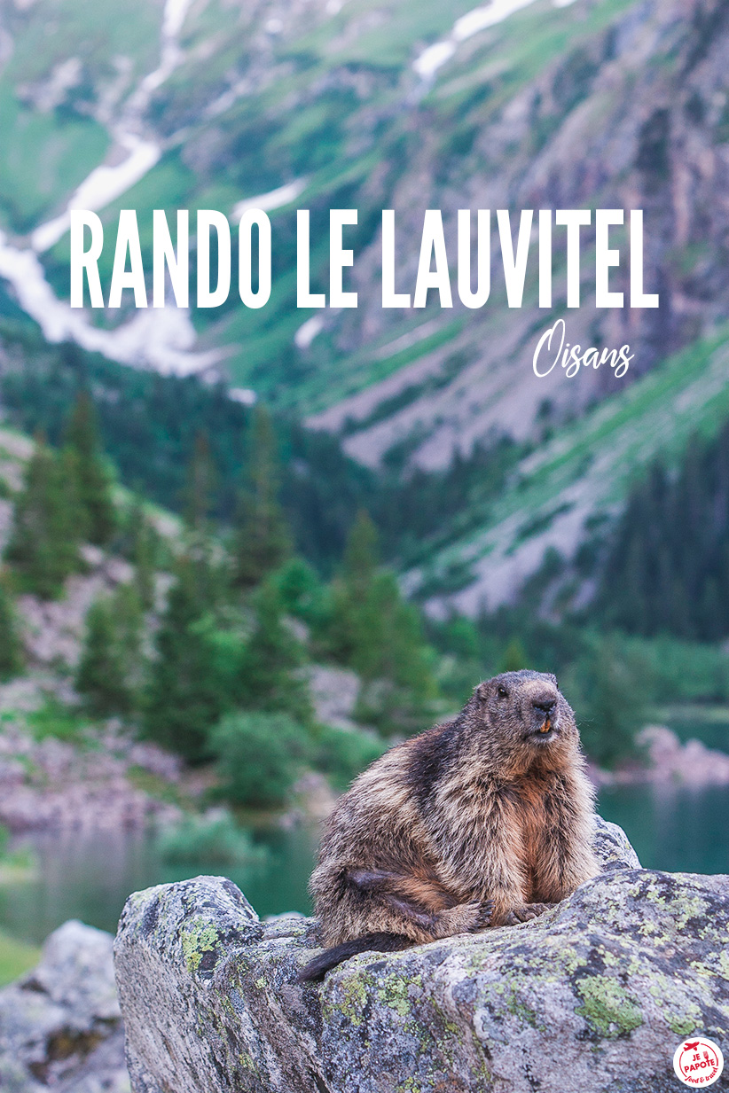 rando lauvitel