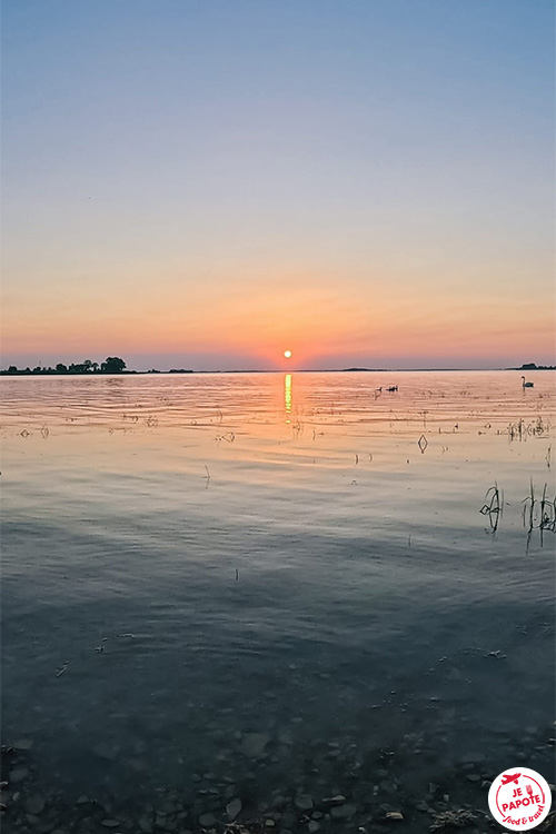 coucher de soleil au lac du der