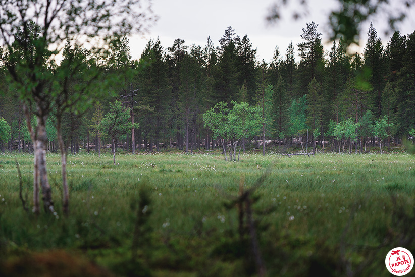 rennes dans la nature