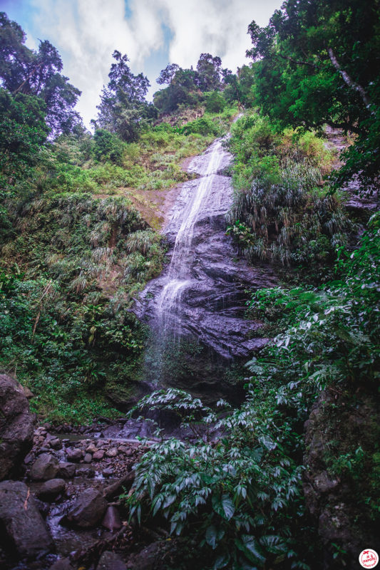 cascade martinique