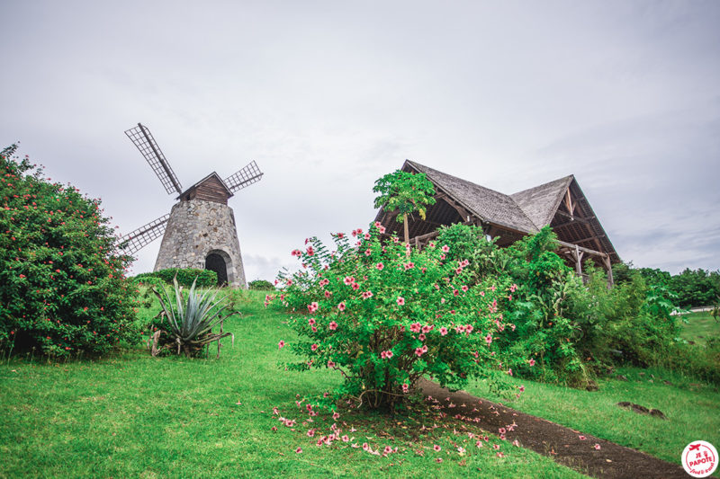 Plantation de Trois Rivières