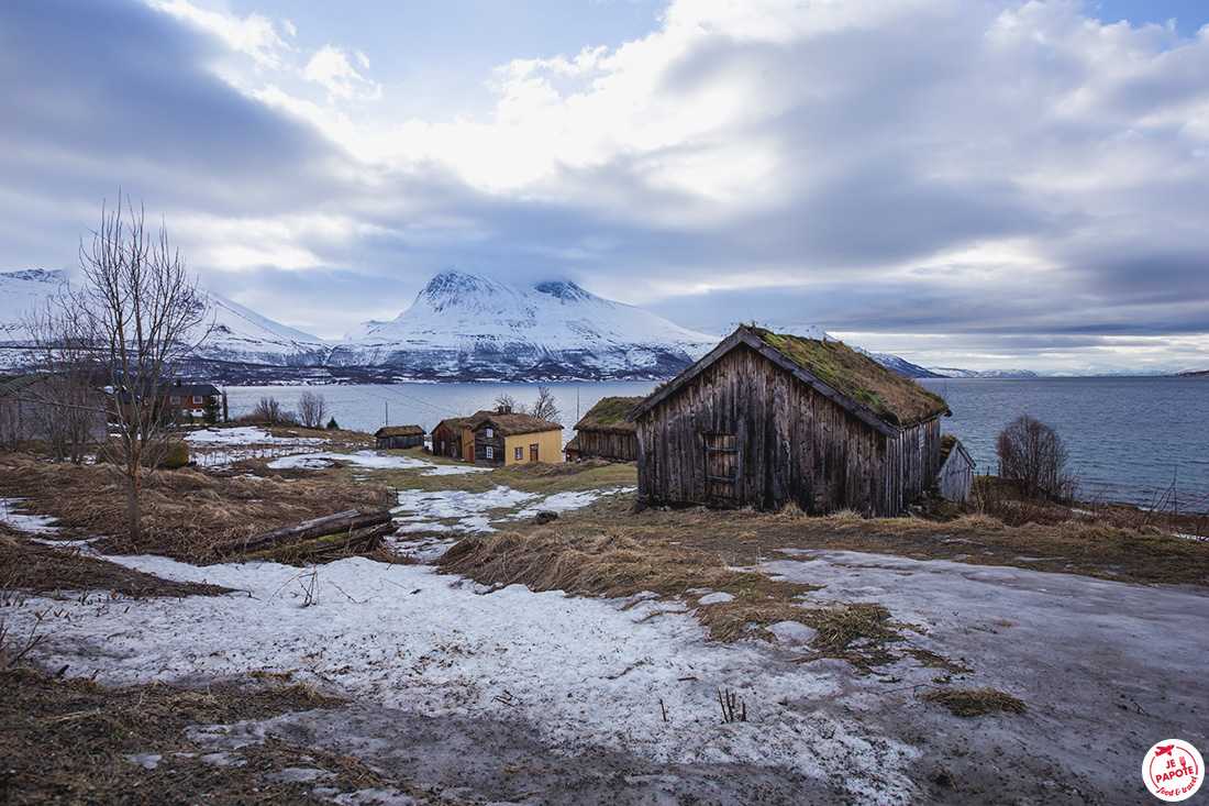 Ile arctique autour de Tromso