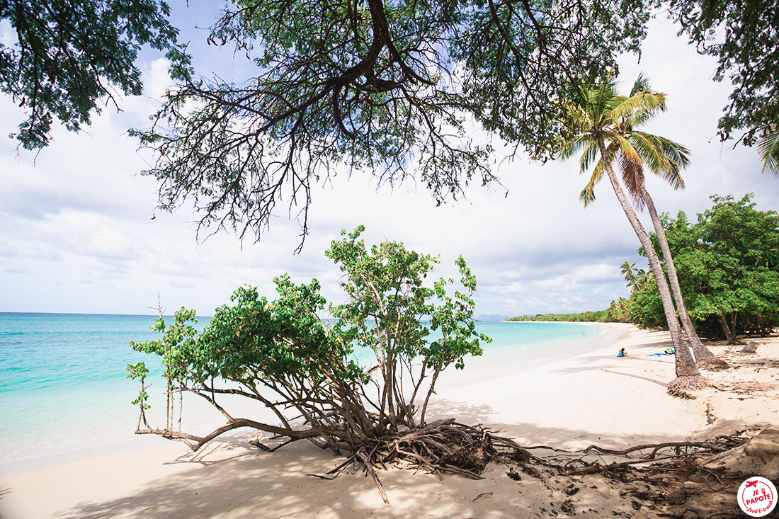 plage martinique