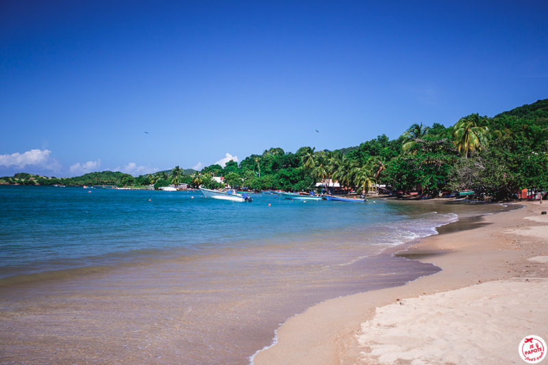 Plage nord martinique