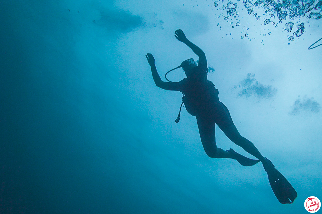 plongée sous marine martinique