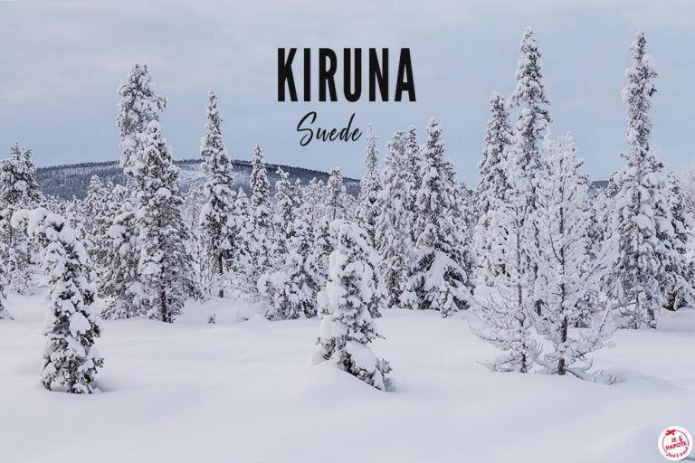 kiruna suede