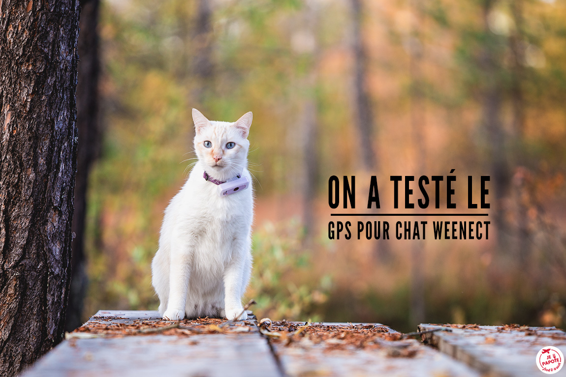 Après le collier GPS pour chats, découvrez la balise GPS pour enfants