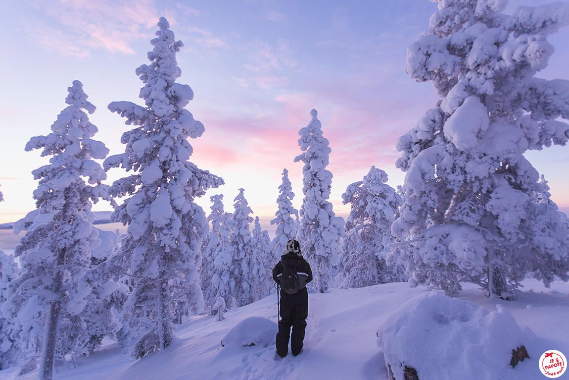 voyage grand nord laponie