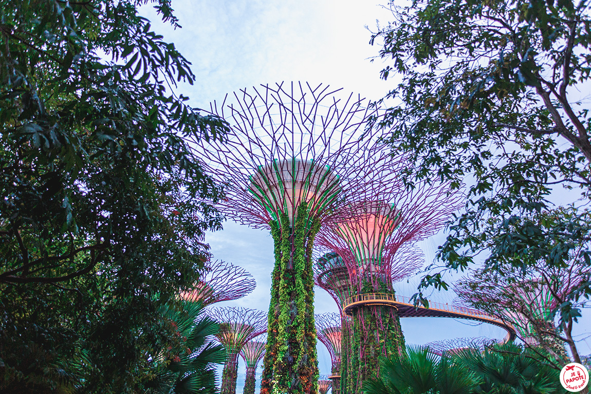 singapour