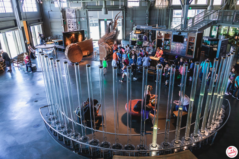 Exploratorium