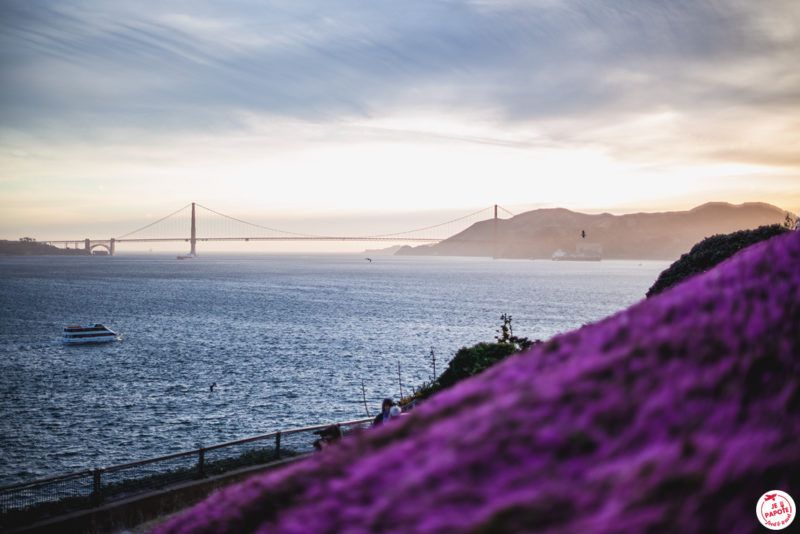 vue sur San Francisco depuis alcatraz