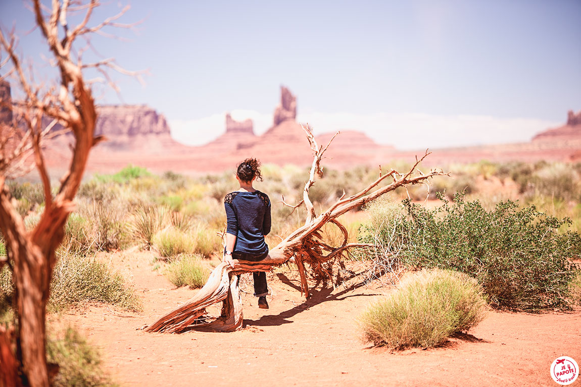 paysage monument valley