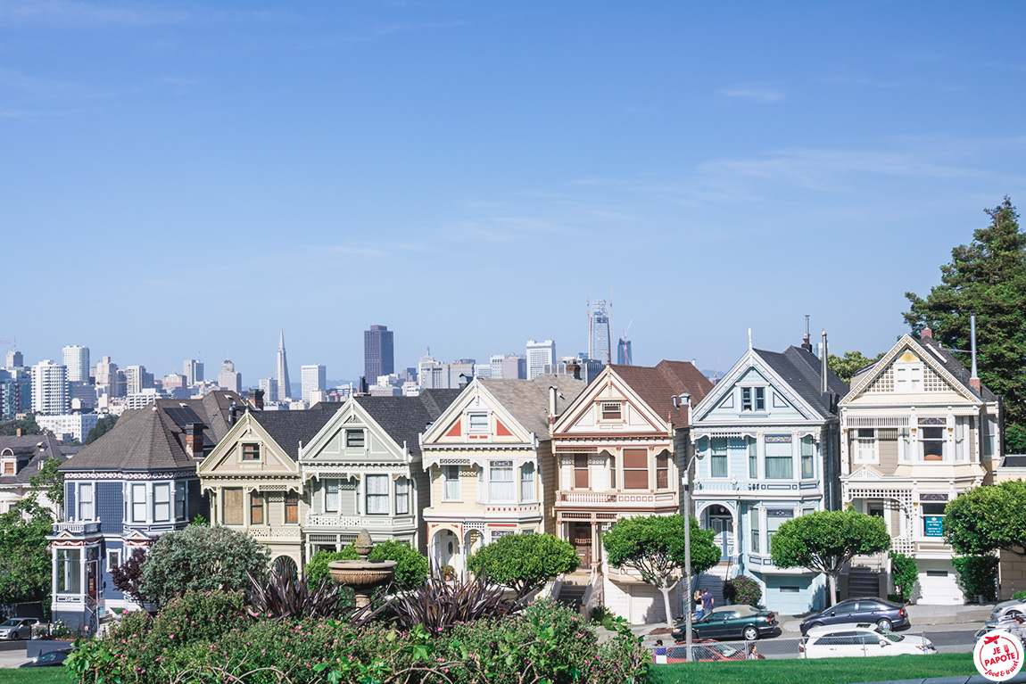 Seven Painted Ladies