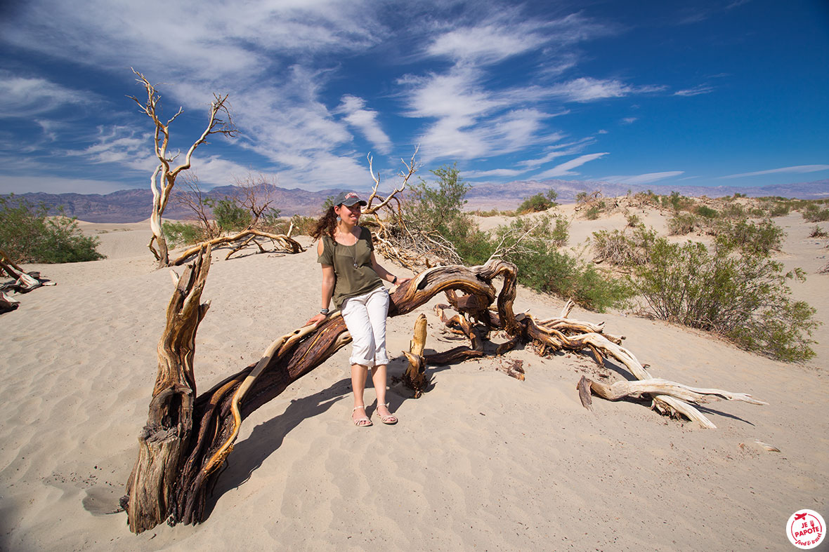 Mesquite Flat Sand Dunes