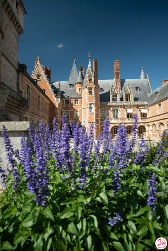 Fleurs jardin de Maintenon