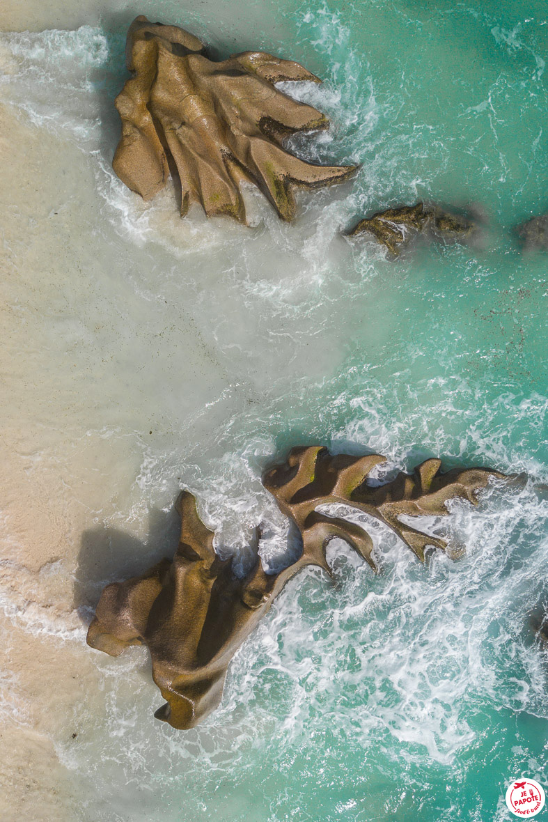 mer Seychelles