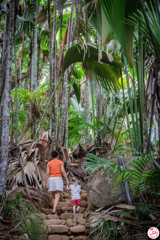 visite vallée de mai